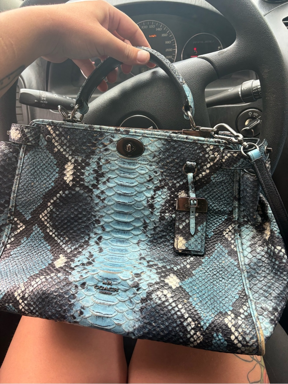 Coach Blue and Black Gramercy Snake-Print turn lock-PROJECT BAG